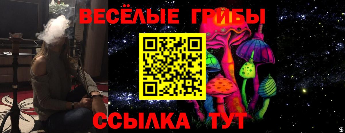Псилоцибиновые грибы GOLDEN TEACHER Кизилюрт